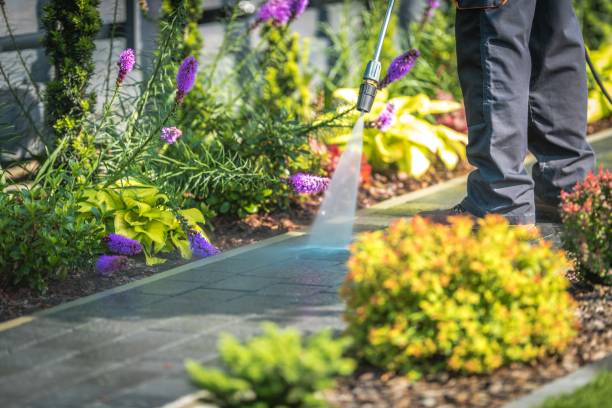 Spring Cleaning in Hamilton City, CA