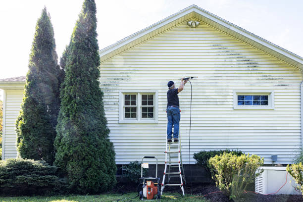 Best Fence Cleaning  in Hamilton City, CA